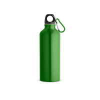 Kovinska športna steklenica s karabinom 530 mL