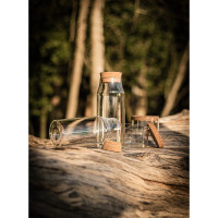 Steklena steklenica s pokrovom iz plute 800ml 94235