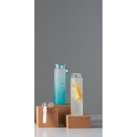 Steklenica iz borosilikatnega stekla Williams 94669