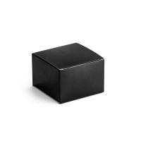 Kovinski prenosni zvočnik z mikrofonom Florey 97252