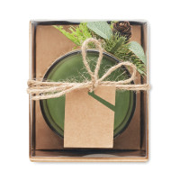 Božična sveča v kozarcu FOREST CX1508-09