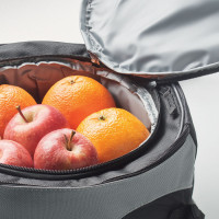 Hladilna torba s prenosnim žarom DONAU KC6387-03