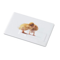 USB ključ v obliki kreditne kartice 16GB MEMORAMA MO1059c-06-16G