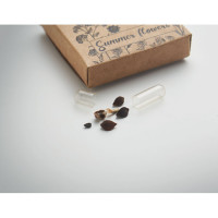 Disk z mešanimi cvetličnimi semeni FLOMIX MO2161-13