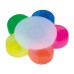 5in1 highlighter Butterworth