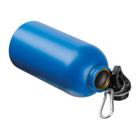 Kovinska steklenica BPA free s karabinom New York, 500 ml 524104