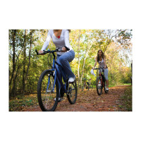 Varnostna lučka za kolo ali torbo v obliki srca - zadnja - z baterijo Cincinnati 609305